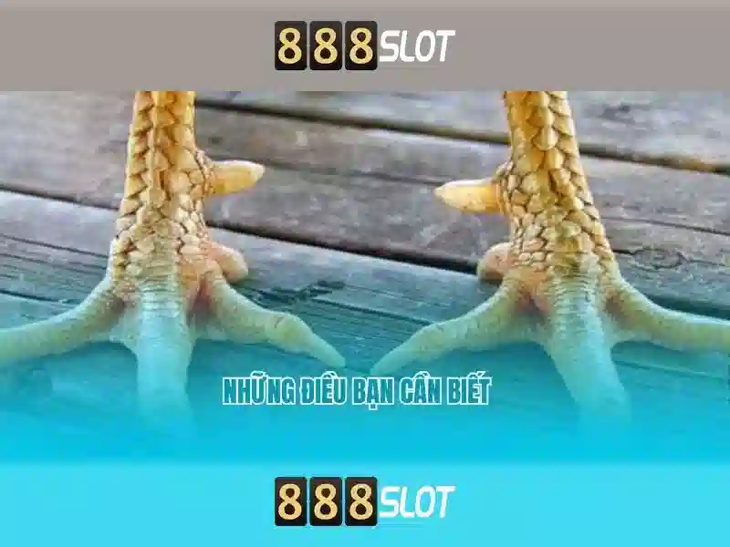 Ưu đãi 888slot freebet