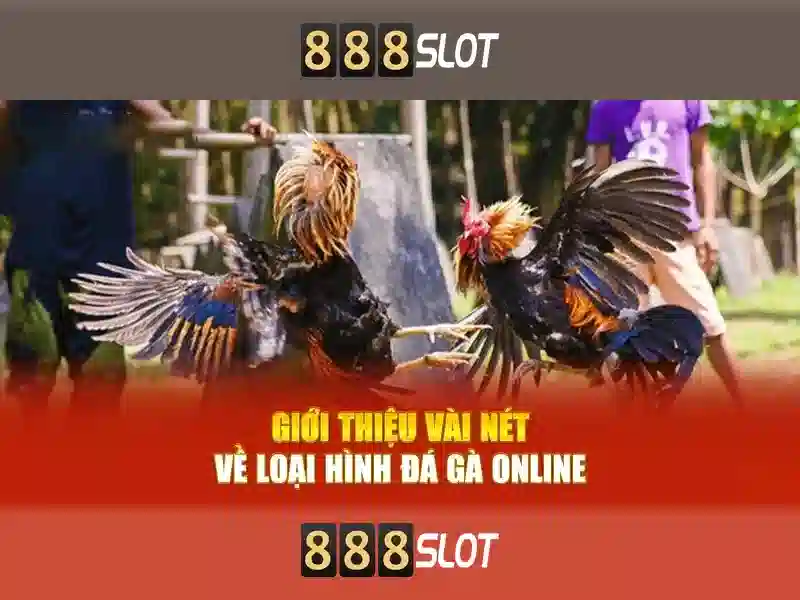 Đặc Điểm Nổi Bật Của Trang Web
