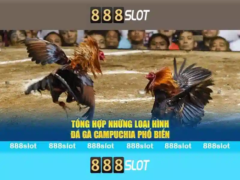 Nhà Cái 888SLOT