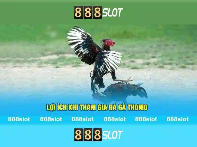 Tải 888slot APK Latest Version 2026