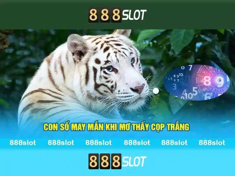 Bảo Mật Tuyệt Đối
