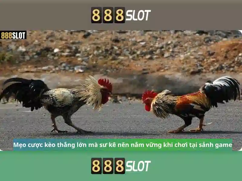 Ưu Điểm Nổi Bật Của 888SLOT
