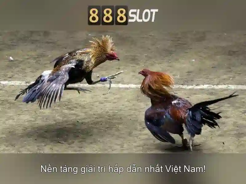 Ưu Đãi Đặc Biệt