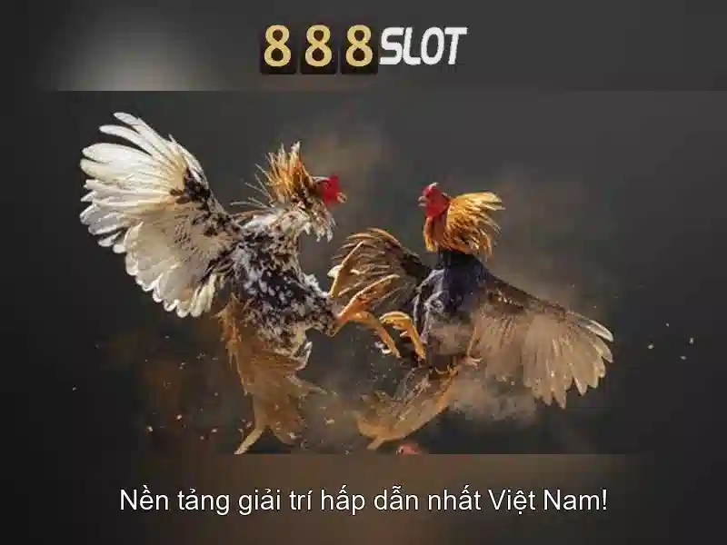 Tải App 888SLOT – Trải Nghiệm Cá Cược Đỉnh Cao Trên Thiết Bị Di Động