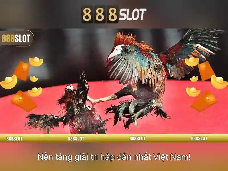 Quyền và nghĩa vụ người chơi 888SLOT: Trách nhiệm cộng đồng